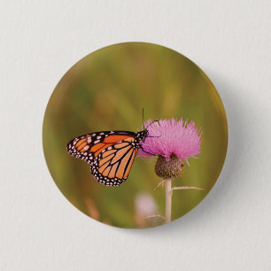 Badge Rond 5 Cm Bouton papillon Monarque