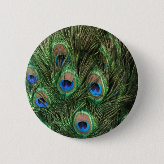 Badge Rond 5 Cm Bouton Peacock Feather (Devant)
