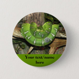 Badge Rond 5 Cm Bouton personnalisé de serpent vert