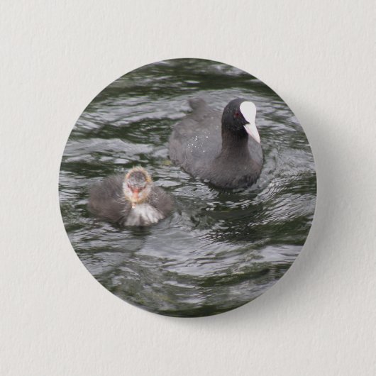 Badge Rond 5 Cm Bouton Pied et poussette (Devant)