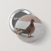 Badge Rond 5 Cm Bouton Pigeon (Devant & derrière)