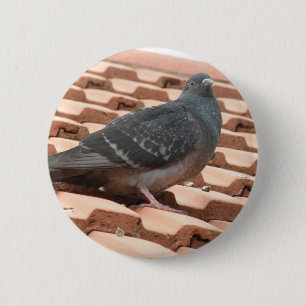 Badge Rond 5 Cm Bouton pigeon sur le toit