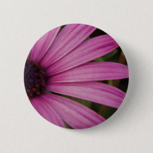 Badge Rond 5 Cm Bouton pourpre d'Osteospurmum