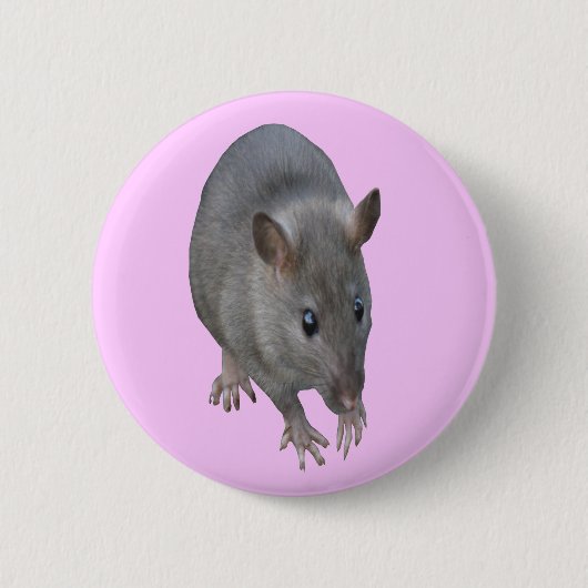 Badge Rond 5 Cm Bouton Rat (Devant)