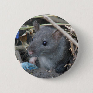 Badge Rond 5 Cm Bouton Rat dans un trou