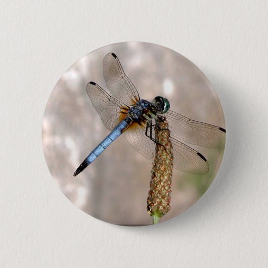 Badge Rond 5 Cm Bouton rond (Devant)