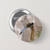 Badge Rond 5 Cm Bouton rond (Devant & derrière)