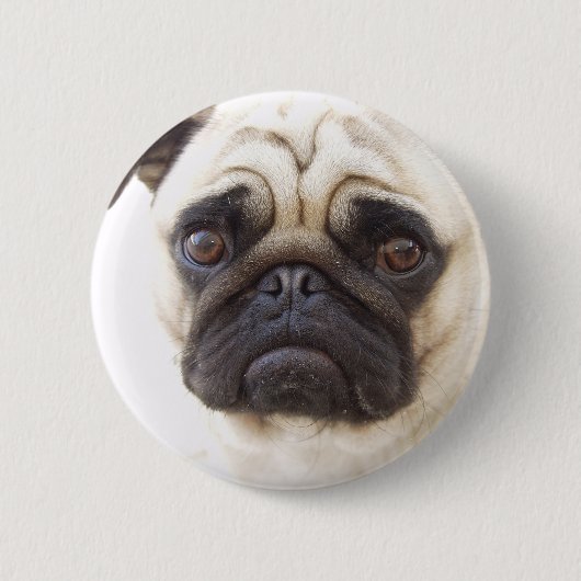 Badge Rond 5 Cm Bouton rond de chien de carlin (Devant)