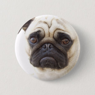 Badge Rond 5 Cm Bouton rond de chien de carlin