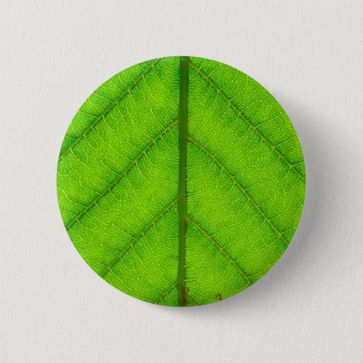 Badge Rond 5 Cm Bouton rond de feuille verte (Devant)