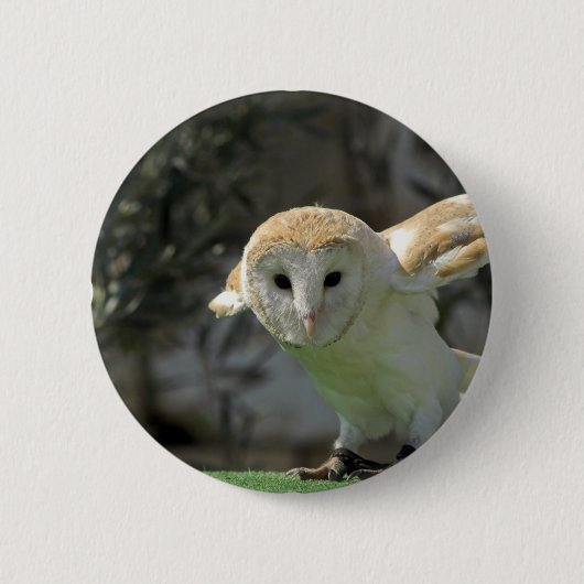 Badge Rond 5 Cm Bouton rond de hibou de grange (Devant)