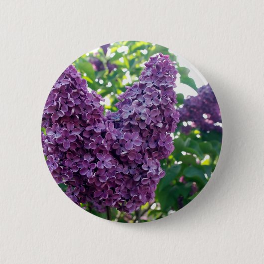 Badge Rond 5 Cm Bouton rond de lilas pourpres (Devant)