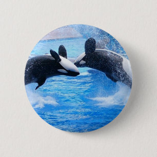 Badge Rond 5 Cm Bouton rond de photo de baleine
