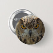 Badge Rond 5 Cm Bouton rond de photo de hibou (Devant & derrière)