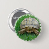 Badge Rond 5 Cm Bouton rond de tortue (Devant & derrière)