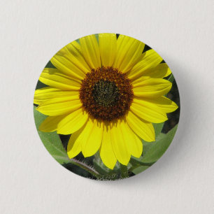Badge Rond 5 Cm Bouton rond d'usine de tournesol