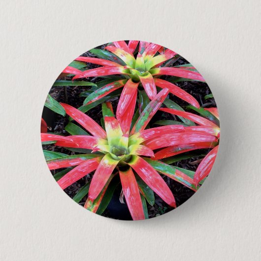 Badge Rond 5 Cm Bouton rond fleur hawaïen (Devant)