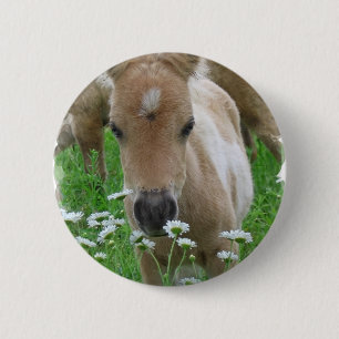 Badge Rond 5 Cm Bouton rond sentant de marguerites de poulain