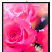 BADGE ROND 5 CM BOUTON ROSE BLISS