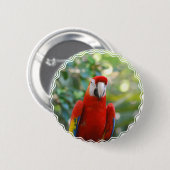 Badge Rond 5 Cm Bouton rouge brillant de perroquet (Devant & derrière)