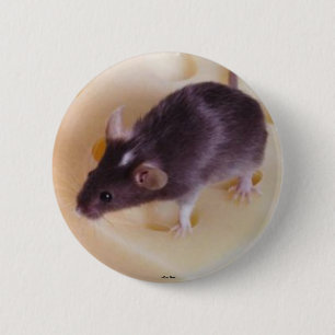 Badge Rond 5 Cm Bouton Souris au fromage suisse