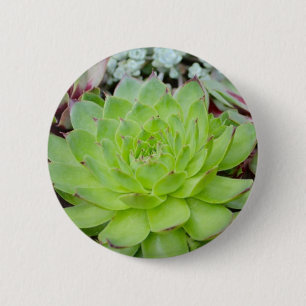 Badge Rond 5 Cm Bouton Succulent