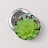 Badge Rond 5 Cm Bouton Succulent (Devant & derrière)