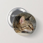 Badge Rond 5 Cm Bouton Tabby Cat (Devant & derrière)