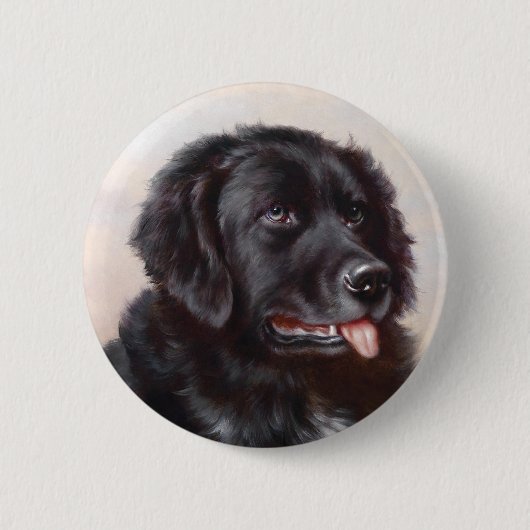 Badge Rond 5 Cm Bouton Terre-Neuve (Devant)