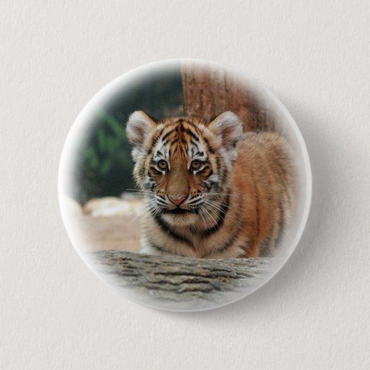 Badge Rond 5 Cm Bouton Tiger Cub (Devant)