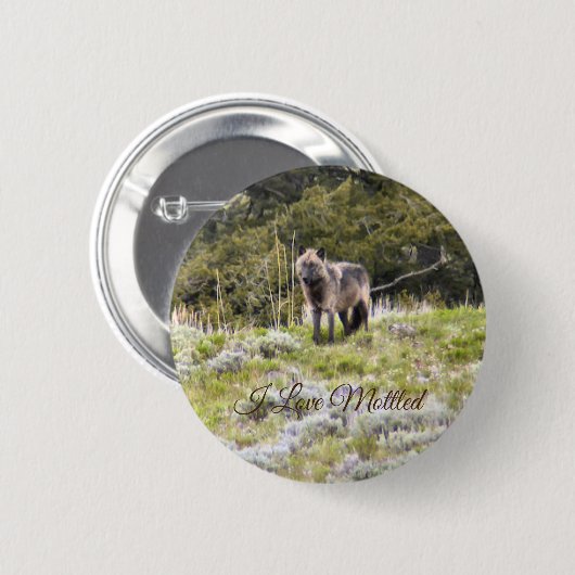 Badge Rond 5 Cm Bouton Trait Oncle (Devant & derrière)