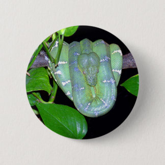 Badge Rond 5 Cm Bouton vert de BoA-Morticia d'arbre