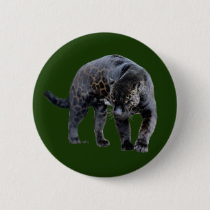 Badge Rond 5 Cm Bouton vert Jaguar Diablo
