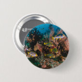 Badge Rond 5 Cm Boutons Corail Reef (Devant & derrière)
