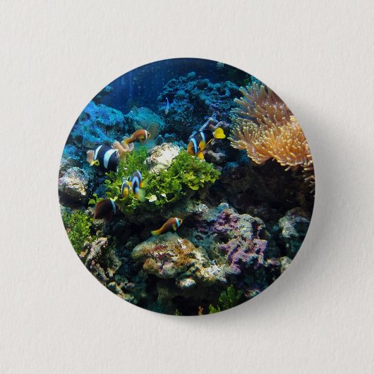 Badge Rond 5 Cm Boutons Corail Reef (Devant)