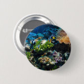 Badge Rond 5 Cm Boutons Corail Reef (Devant & derrière)