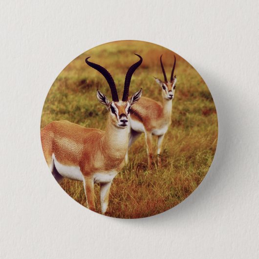 Badge Rond 5 Cm Boutons et insignes de safari de gazelle de (Devant)