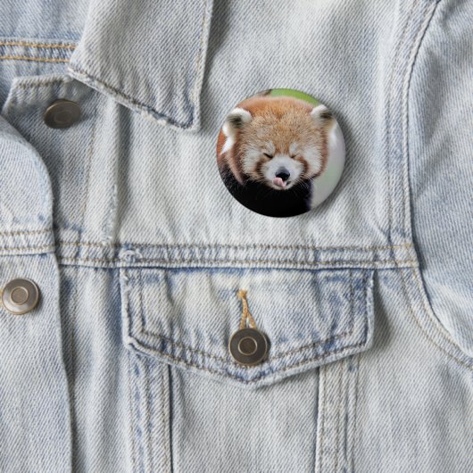 Badge Rond 5 Cm Boutons panda rouge. Panda roux. (En situation)