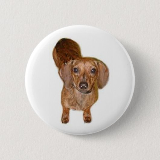 Badge Rond 5 Cm br.dachshund (Devant)