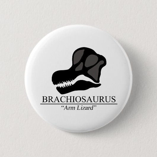 Badge Rond 5 Cm Brachiosaurus (Devant)