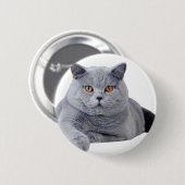 Badge Rond 5 Cm British shorthair (Devant & derrière)