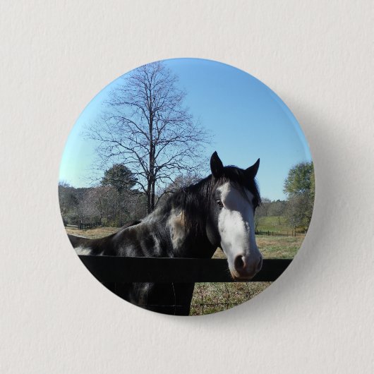 Badge Rond 5 Cm Brown &blanc, Cheval Peint, ciel bleu vif (Devant)