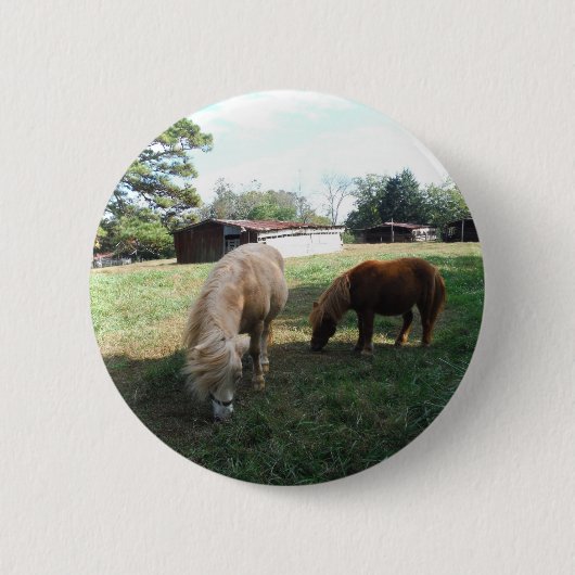 Badge Rond 5 Cm Brown Blond, Deux Chevaux Miniatures, "Little Pony (Devant)