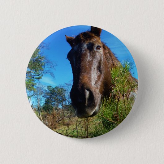 Badge Rond 5 Cm Brown et crème Couleur Cheval bleu ciel (Devant)