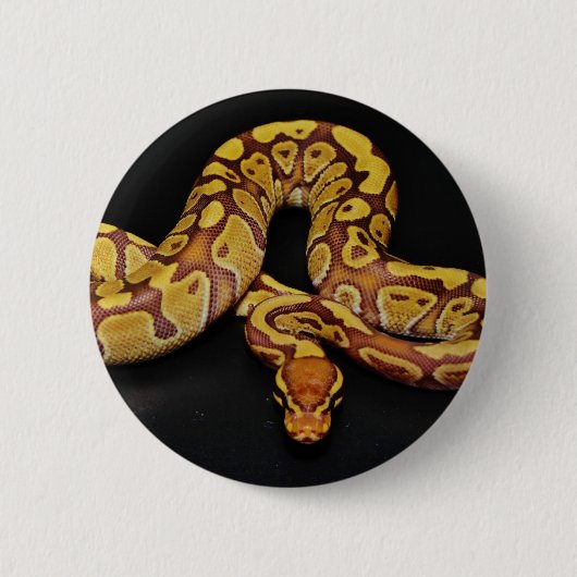 Badge Rond 5 Cm Brun et python de boule d'or (Devant)