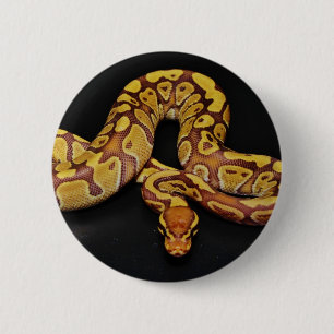 Badge Rond 5 Cm Brun et python de boule d'or