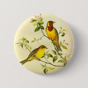 Badge Rond 5 Cm bruniceps donnants un petit coup Rouge-dirigés