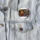 Badge Rond 5 Cm Bull Finch (En situation)