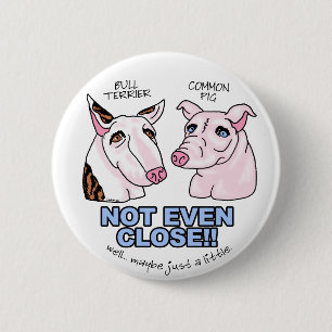 Badge Rond 5 Cm Bull Terrier PAS un porc