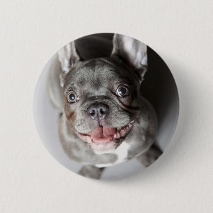 Badge Rond 5 Cm Bulldog français